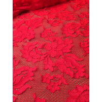 Spanish rose Flame red