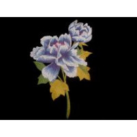Poppy embroidered flower motif Blueberry / Electric blue