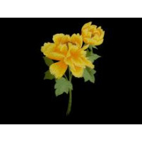 Poppy embroidered flower motif Saffron / Sassy yellow