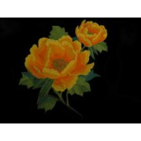 Imperial embroidered flower motif Saffron / Orange