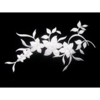Glamour embroidered motif White