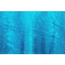 Cobra turkis på turkis