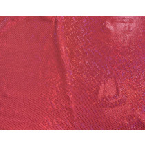 Holografiske dots på Salmon