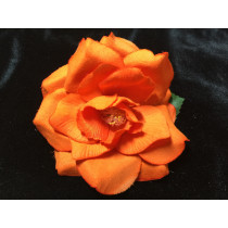 Royal rose Orange