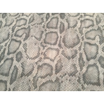 Snake Grey