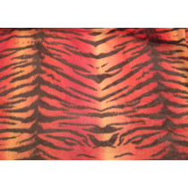 Bengal Flame red on net