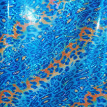 Jungle Fever Blue Fizz Aqua Holo