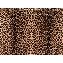 Animal print Stretch net