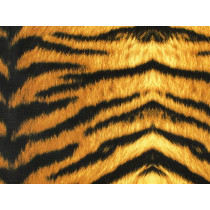 Tiger print brown black lycra